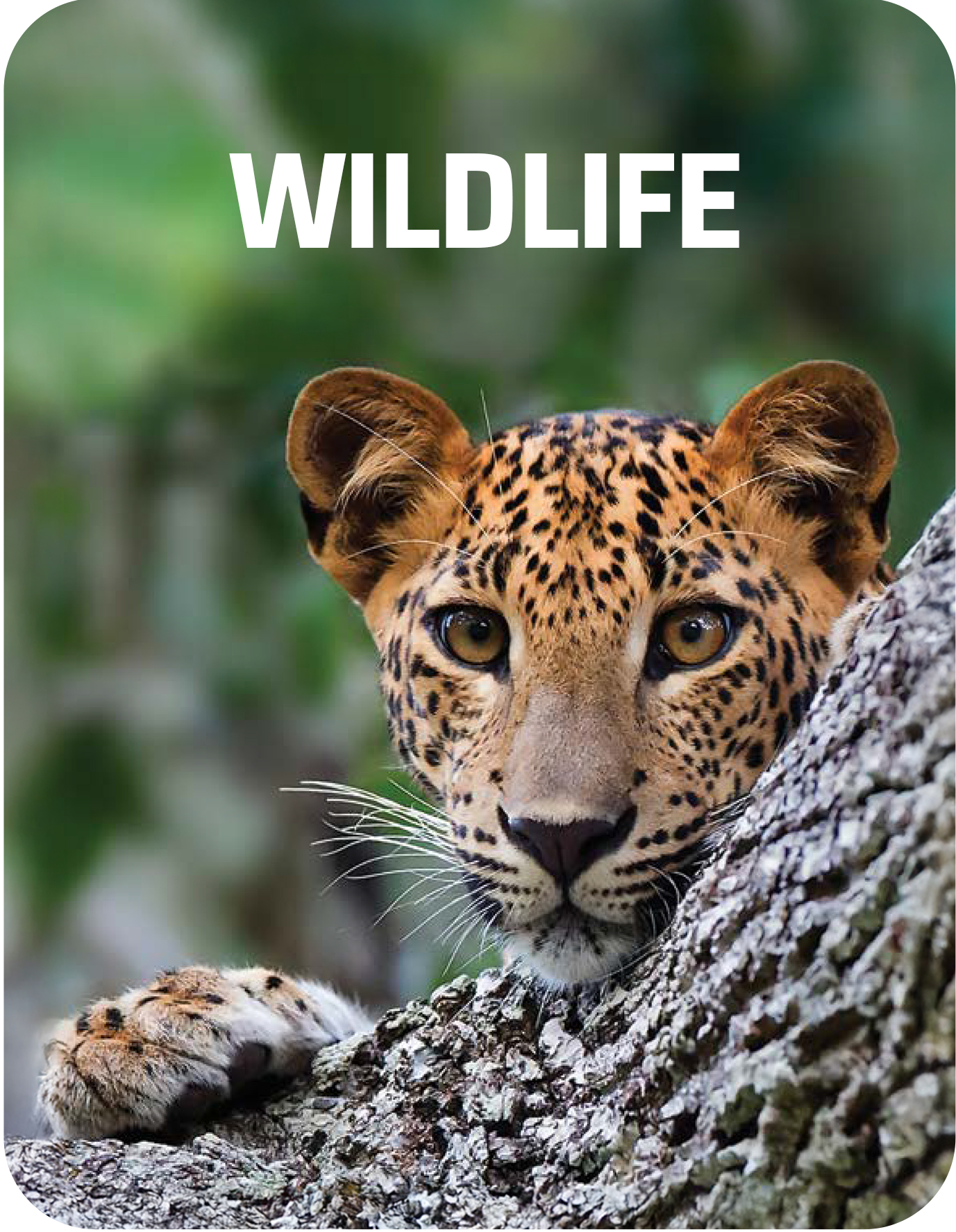 Sri Lanka Destination 3